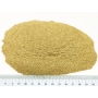 TULSI, ŚWIĘTA BAZYLIA SPROSZKOWANA 1 KG INDYJSKA